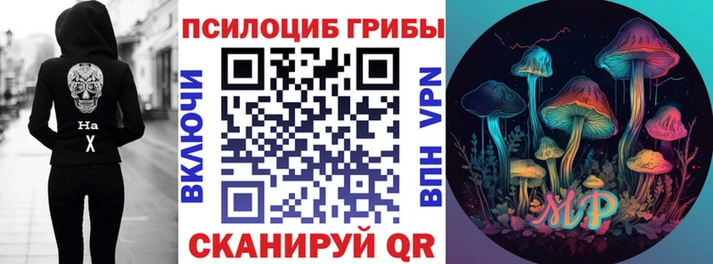 Купить где  Лодейное Поле  Галлюциногенные грибы мухоморы 